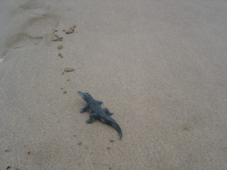 Anastasius  la plage